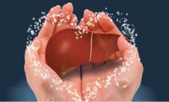 ������ ר������Զ���˸�9��Ԫ��